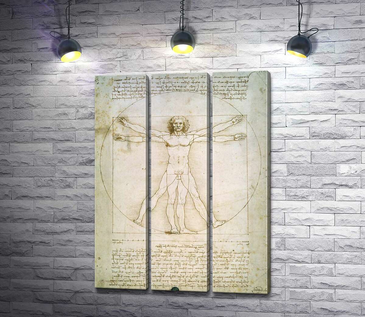 

Модульная картина ArtPoster Витрувианский человек (Homo vitruvianus) – Леонардо да Винчи (Leonardo da Vinci) 132x182 см Модуль №11