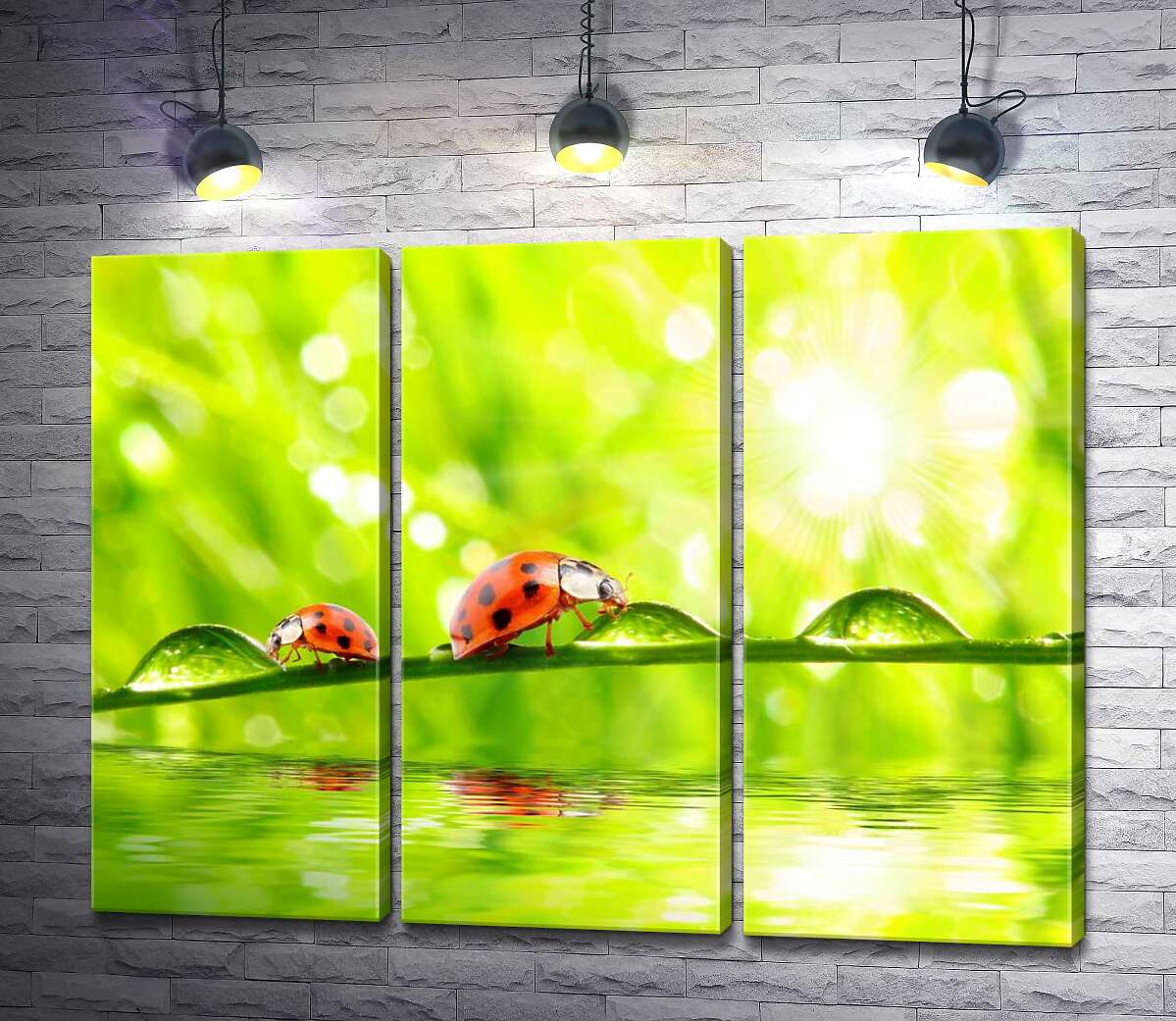 

Модульная картина ArtPoster Божьи коровки пьют из капель утренней росы 102x78 см Модуль №11