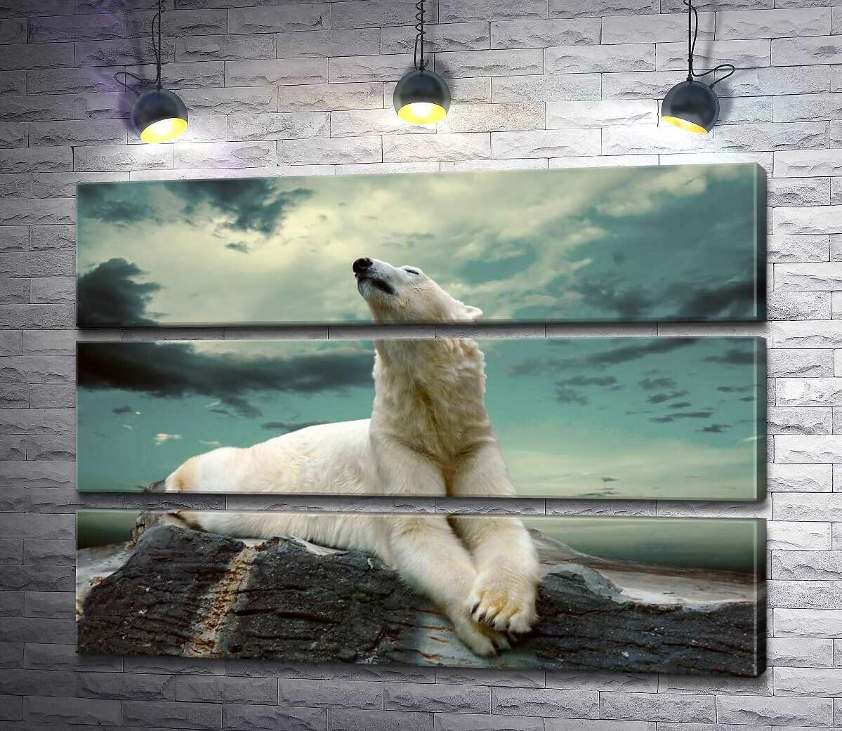 

Модульная картина ArtPoster Белый медведь отдыхает на камне 100x72 см Модуль №13