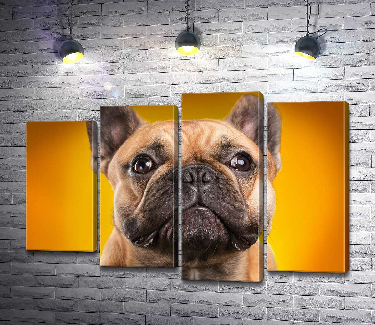 

Модульная картина ArtPoster Бульдог внимательно прислушивается к звукам 80x54 см Модуль №21