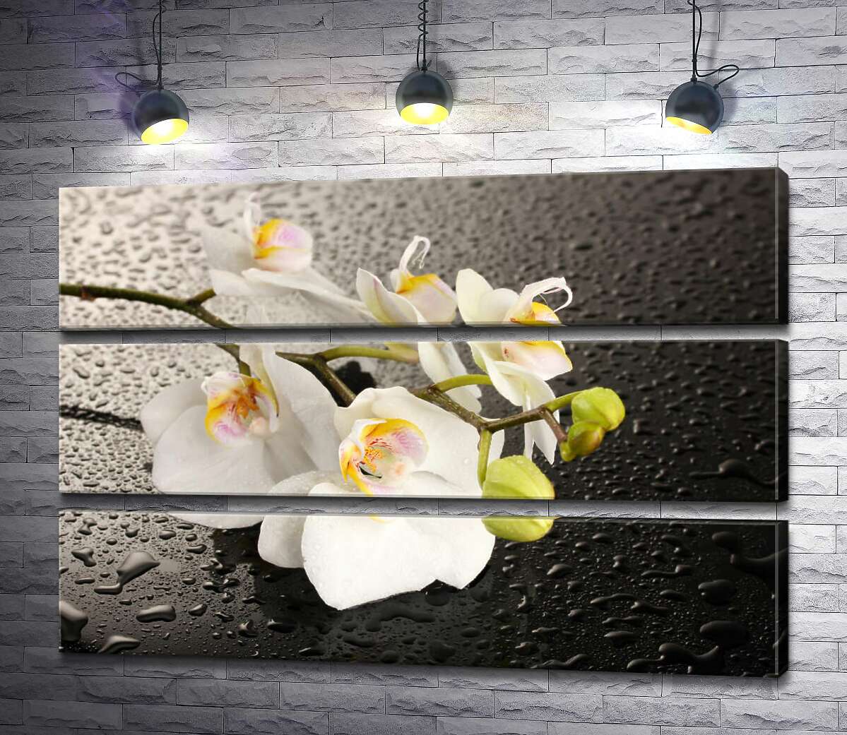 

Модульная картина ArtPoster Ветвь белых орхидей на орошенной водой черной поверхности 100x69 см Модуль №13