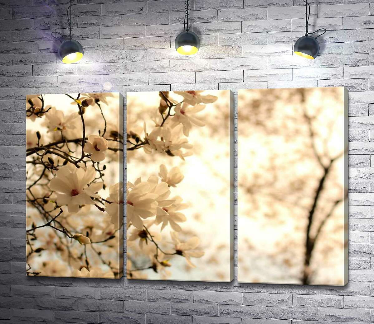 

Модульная картина ArtPoster Весна пришла в сад пышнолистых магнолий 132x87 см Модуль №11