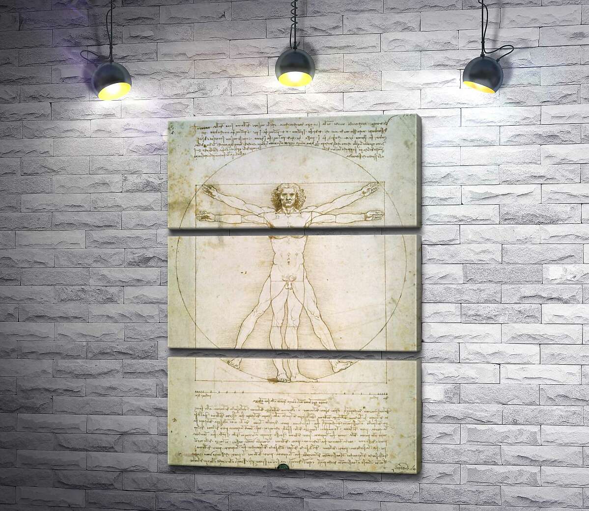 

Модульная картина ArtPoster Витрувианский человек (Homo vitruvianus) – Леонардо да Винчи (Leonardo da Vinci) 50x72 см Модуль №13