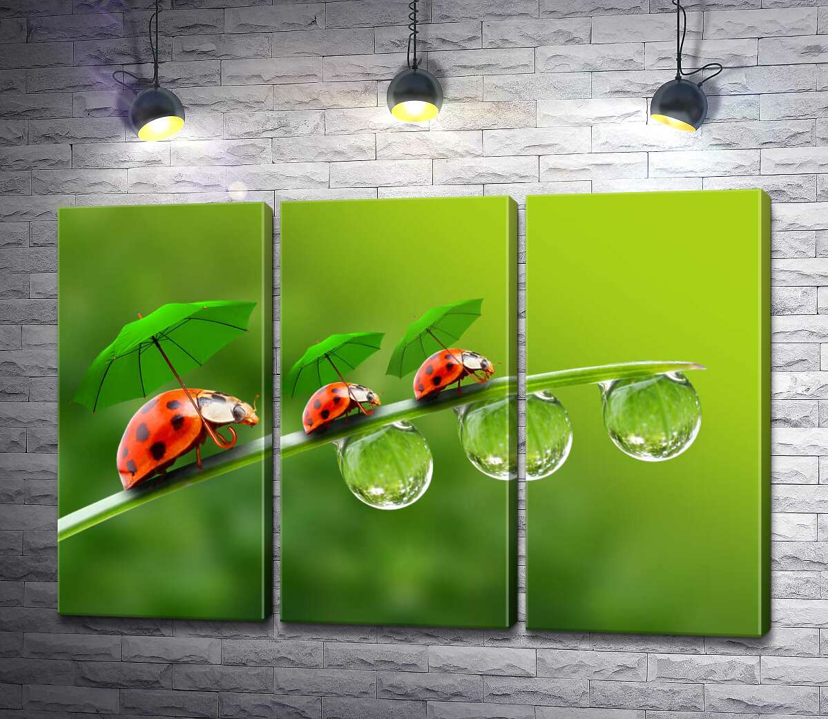 

Модульная картина ArtPoster Божьи коровки прячутся от дождя под зелеными зонтиками на травинке 102x68 см Модуль №11