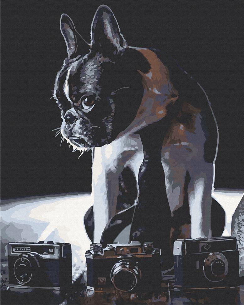 

Картина по номерам. Art Craft "Застенчивый фотограф" 40х50 см 11642-AC