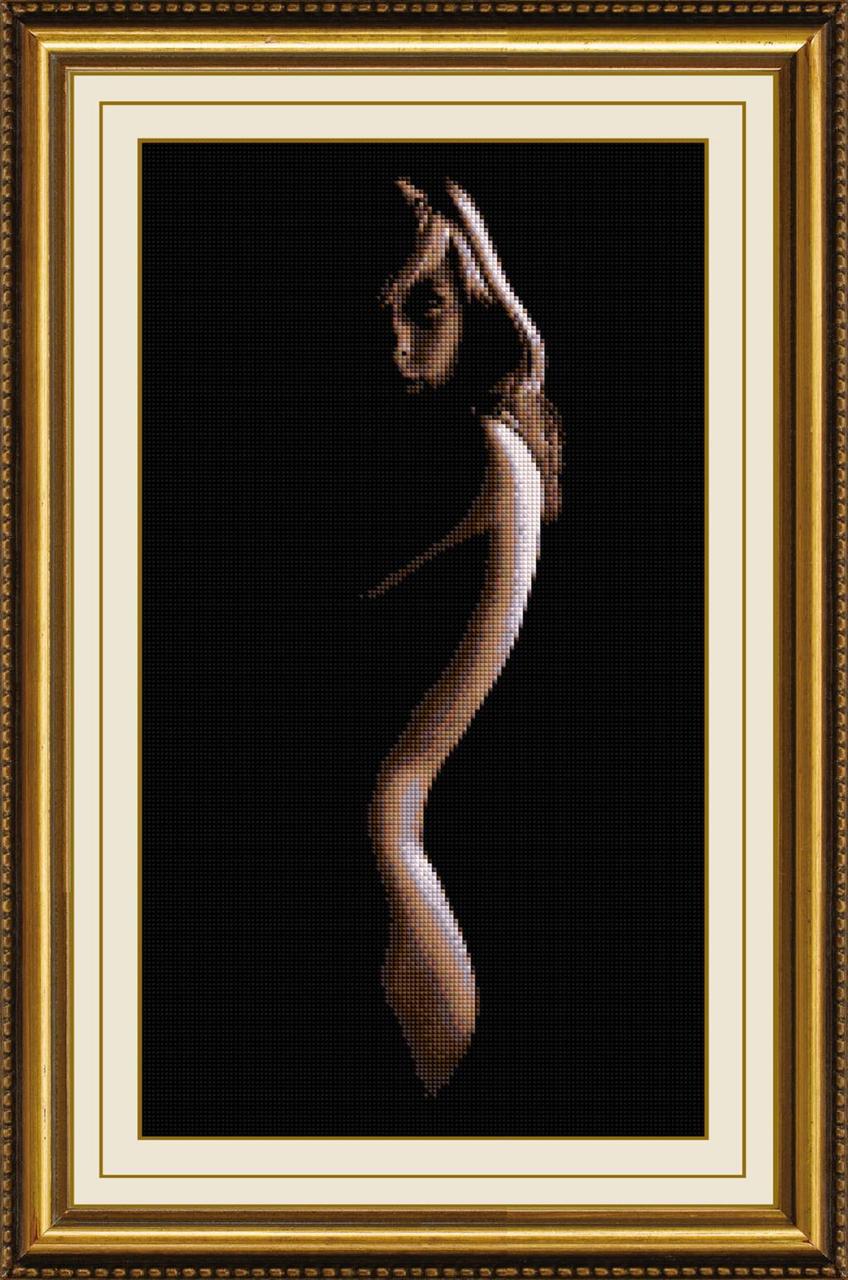 

Алмазная мозаика Силуэт Dream Art 30244 35х58см 13 цветов, квадр.стразы, полная зашивка. Набор алмазной вышивки