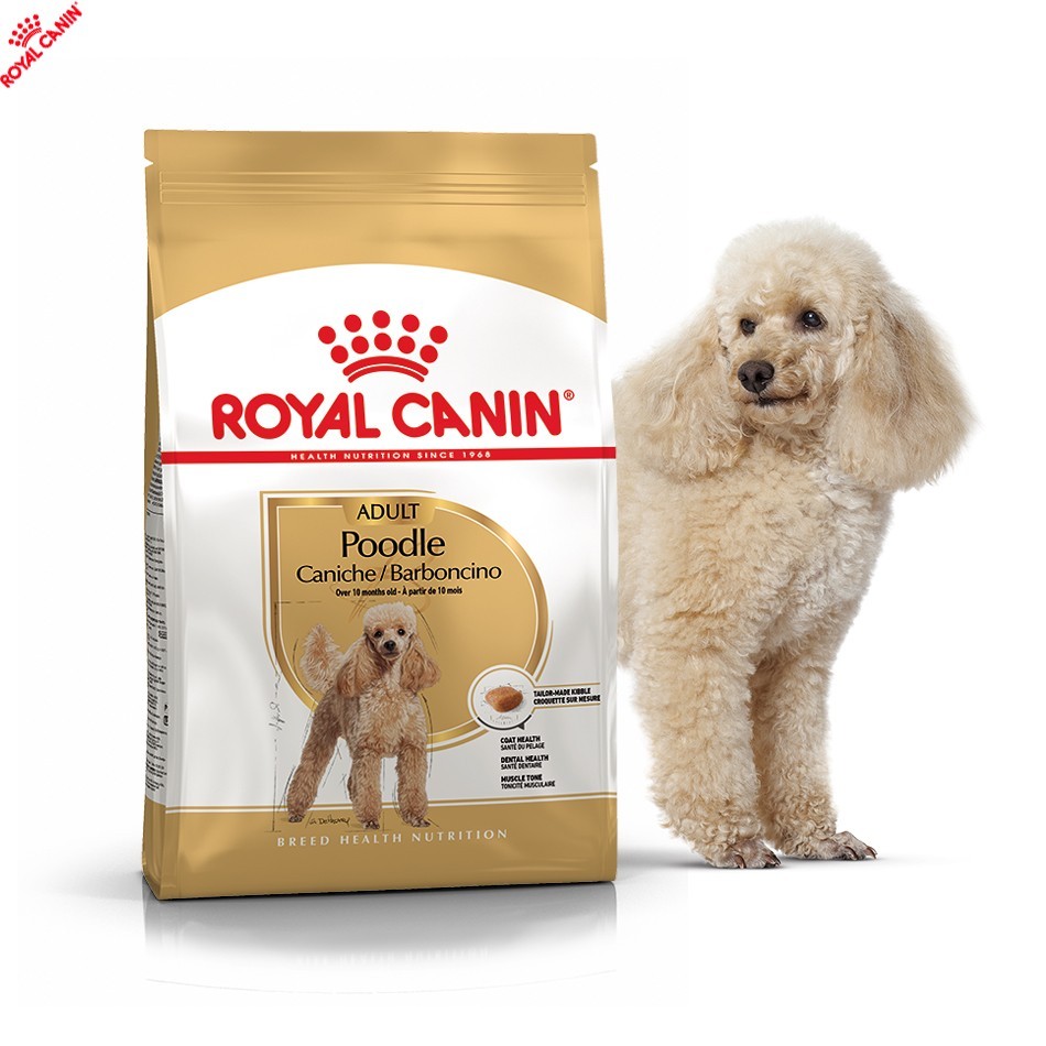 

Сухой полнорационный корм Royal Canin Poodle Adult - сухой корм для пуделей от 10 мес. 1.5 кг (3057015)