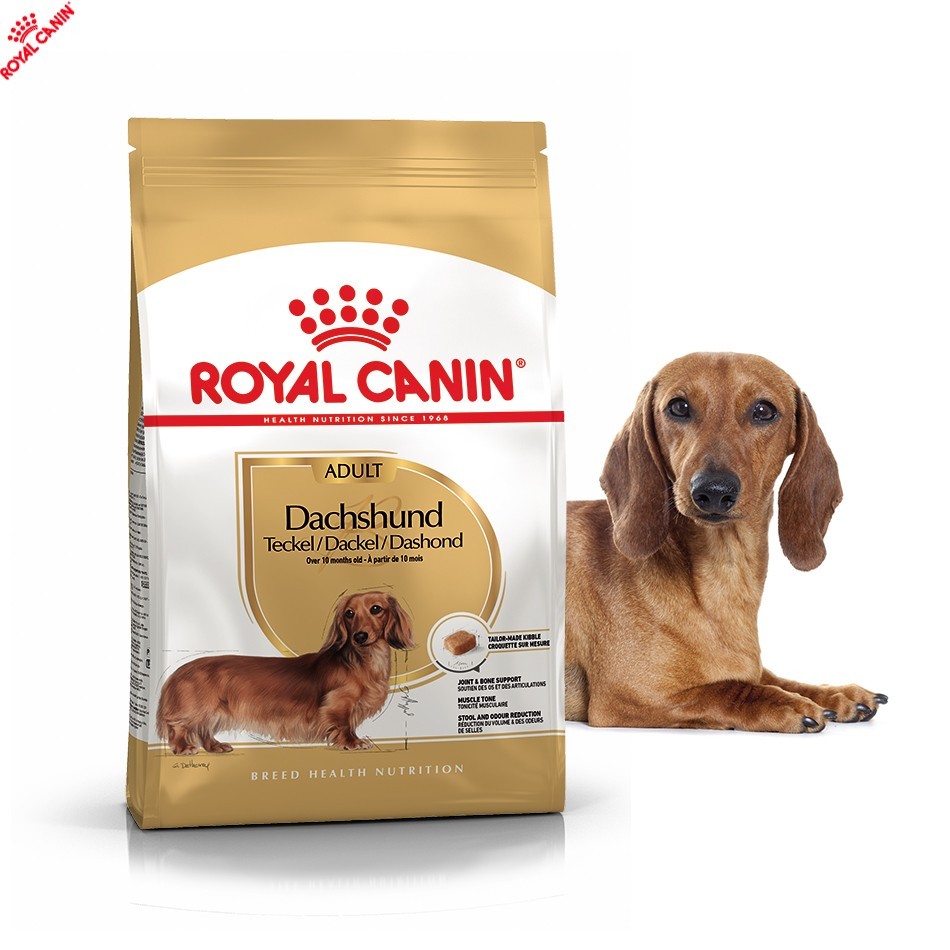 

Сухой полнорационный корм Royal Canin Dachshund Adult - сухой корм для такс от 10 мес. 1.5 кг (3059015)