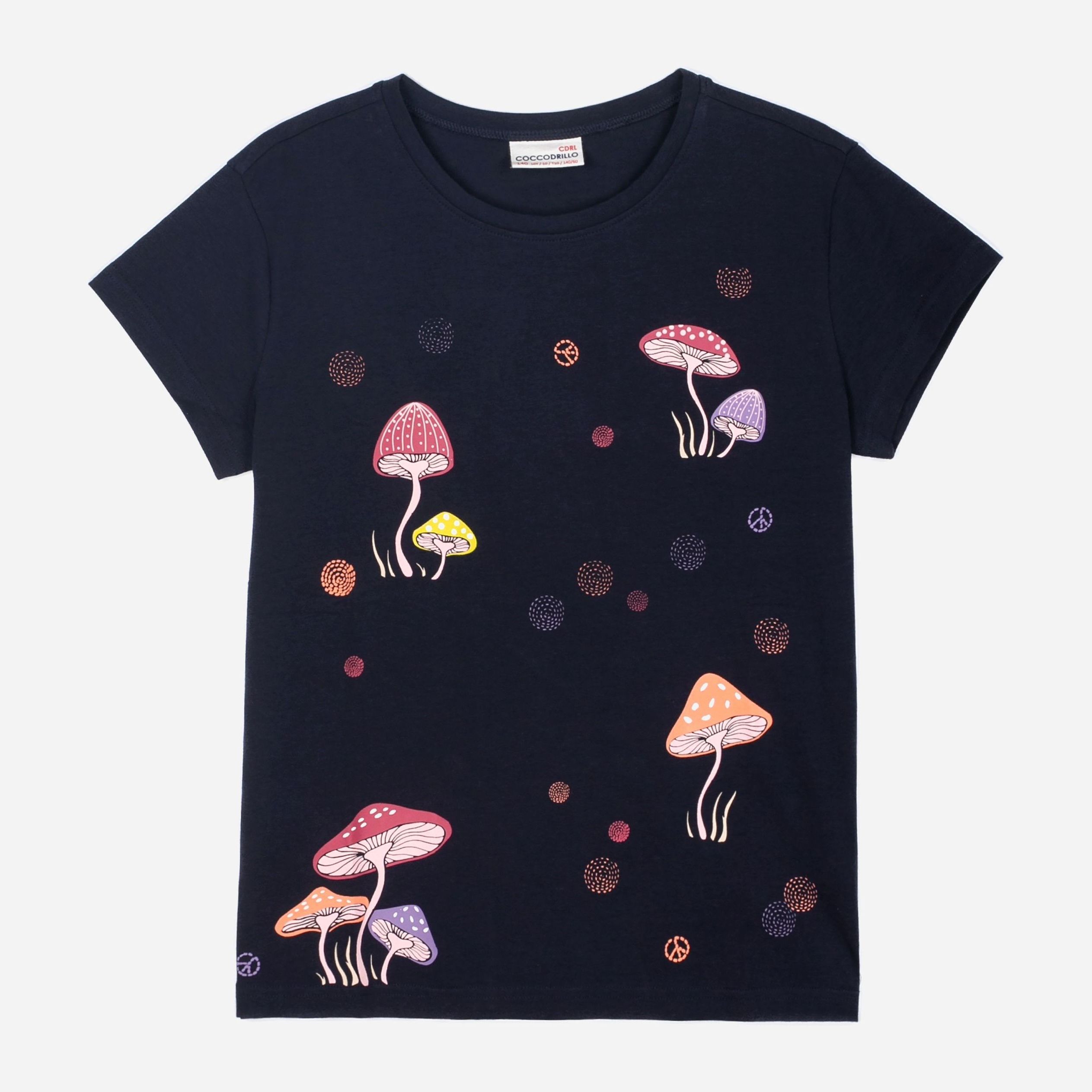 

Футболка Coccodrillo Everyday Girl WC2143216EVG-015 122 см Синяя (5904705739553)