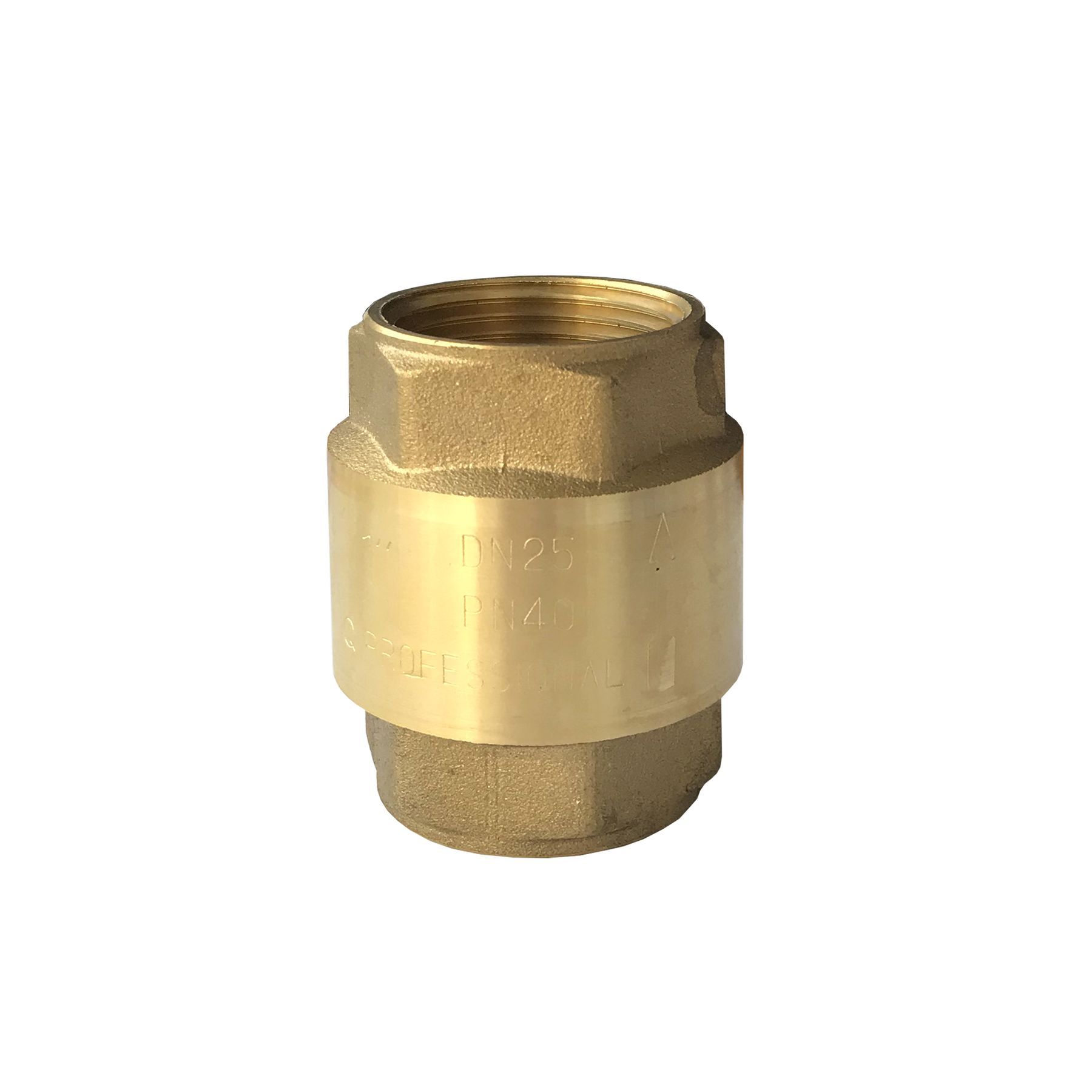 

Клапан обратного хода воды PROFESSIONAL 1" QP100