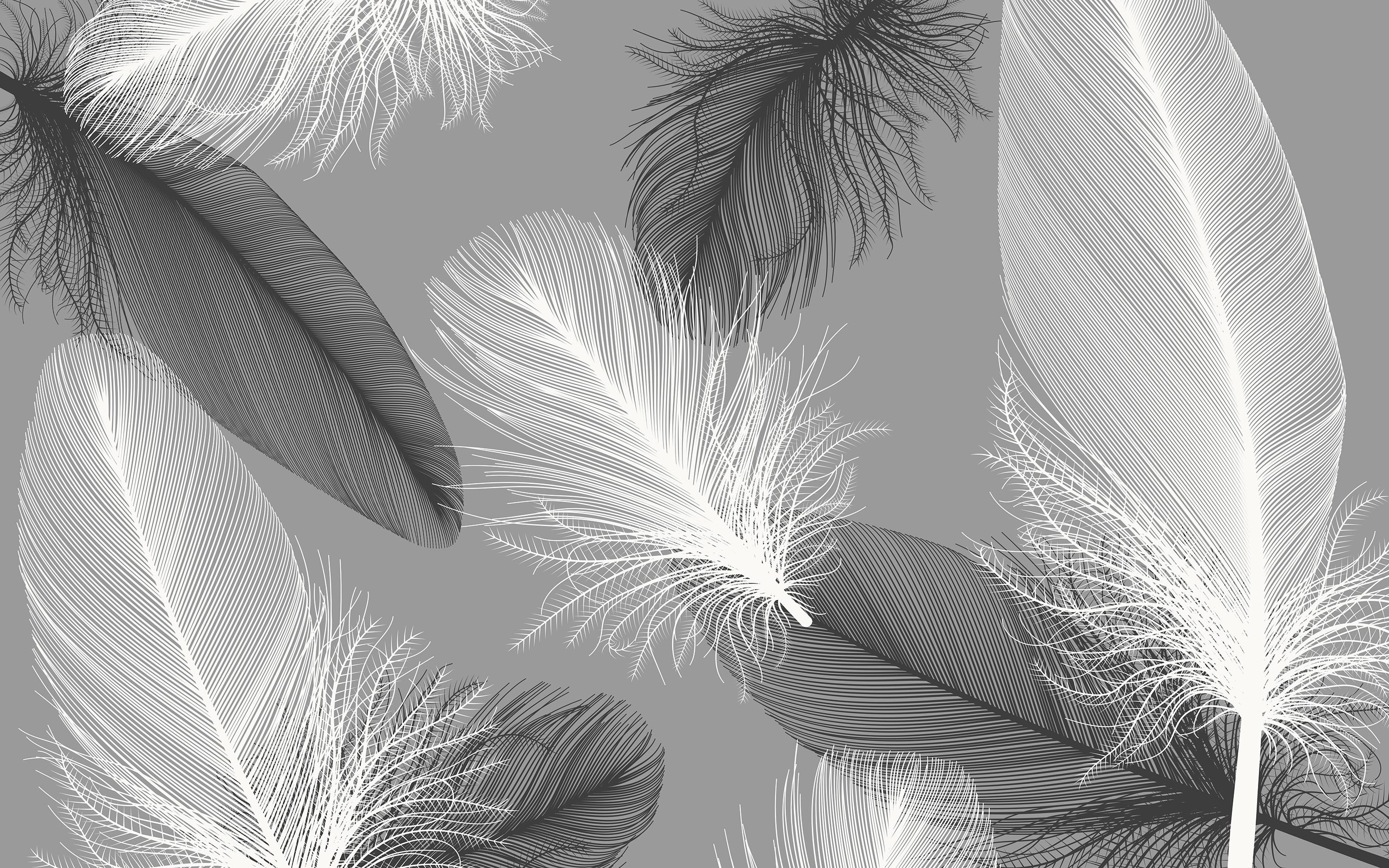 

Виниловые Фотообои Walldeco Черно-белые перья 285x190 Базальт