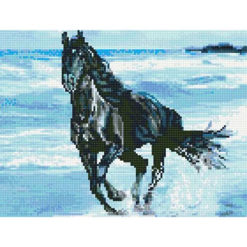 

Алмазная мозаика "Чёрный скакун"