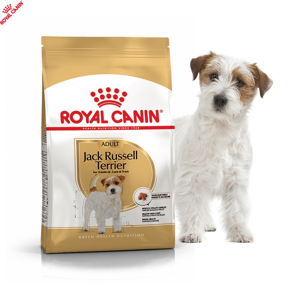 

Сухой полнорационный корм Royal Canin Jack Russell Terrier - сухой корм для Джек-рассел-терьеров от 10 мес. 1.5 кг (21000059)