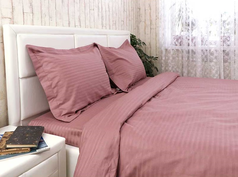 

Комплект постельного белья Руно Сатин-страйп 143х215 (677.50ДУ_Пудра)