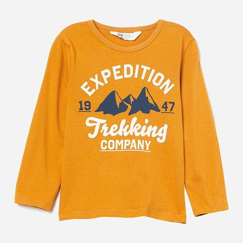 

Футболка с длинными рукавами H&M 925250b50 110 см Желтая