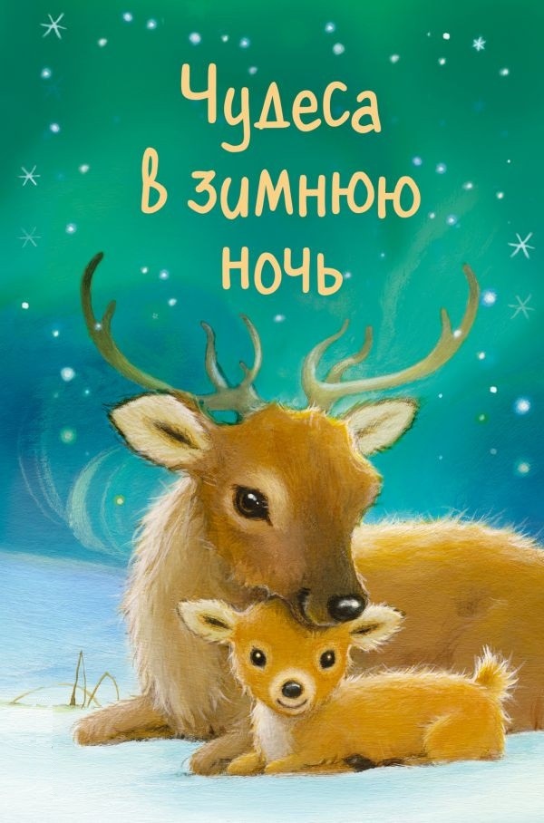 

Чудеса в зимнюю ночь (твердый переплет)