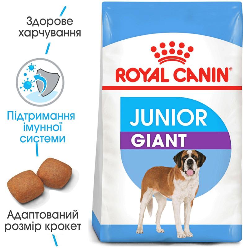 

Сухой корм для молодых собак Royal Canin Giant Junior 15 кг (3182550707077)