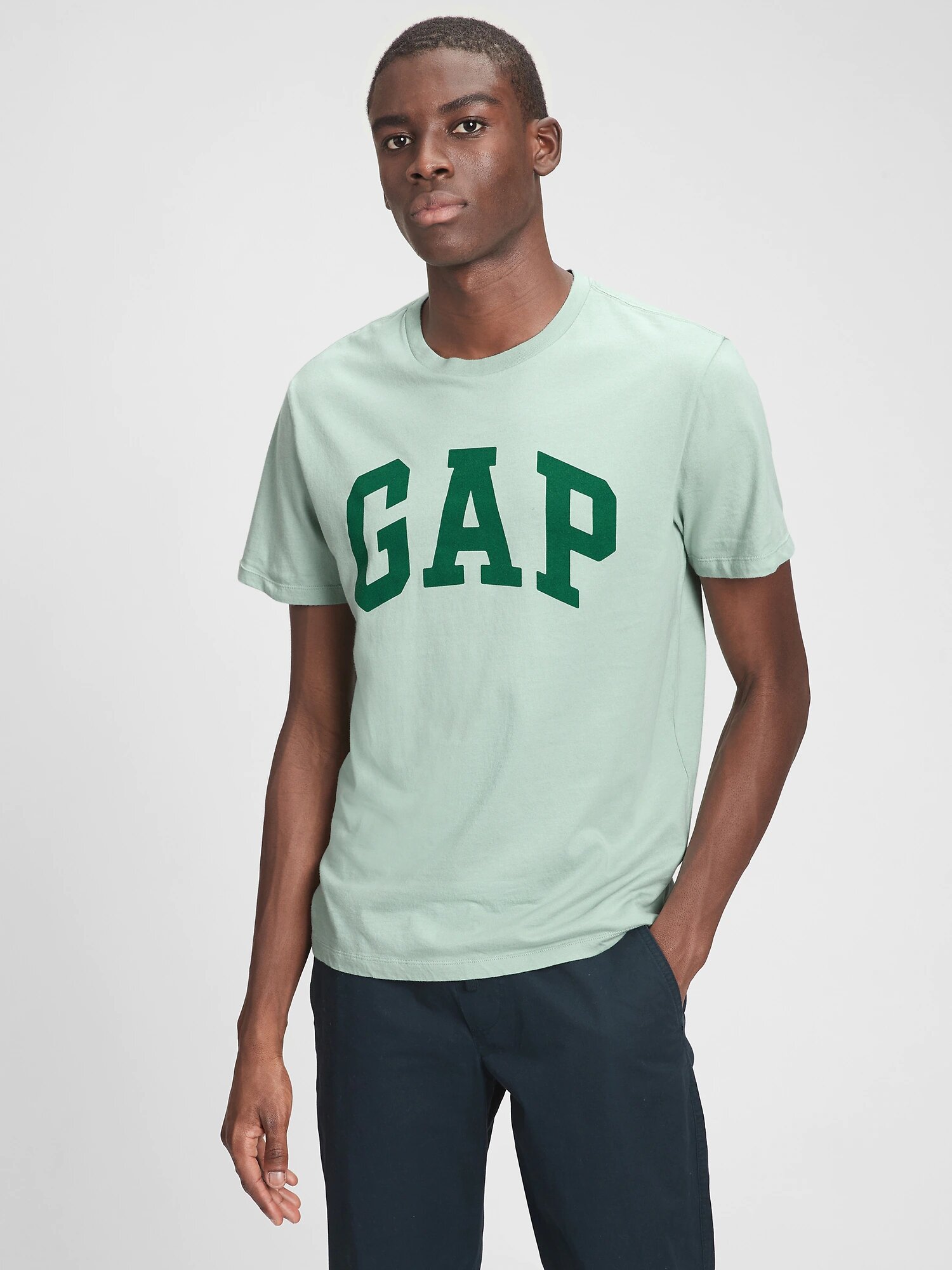 

Футболка GAP мужская  Зеленый (GP-029, Футболка GAP мужская M Зеленый (GP-029)