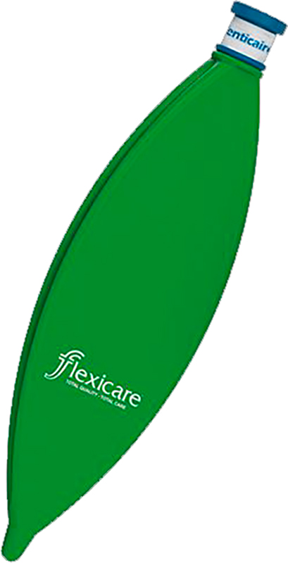 

Мешок дыхательный Flexicare 1 л с соединителем 22 мм F (038-82-810NL)