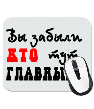 

Коврик для мыши Вы забыли, кто тут главный