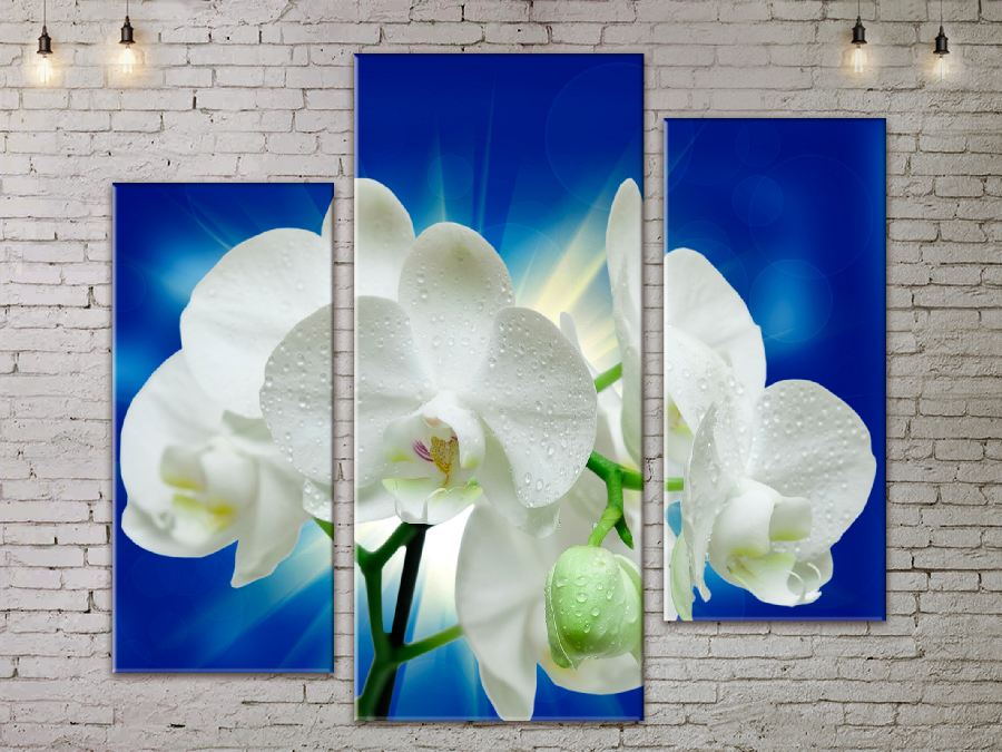 

Модульная картина ArtStar цветы Орхидея ADFL0206 размер 95 х 120 см