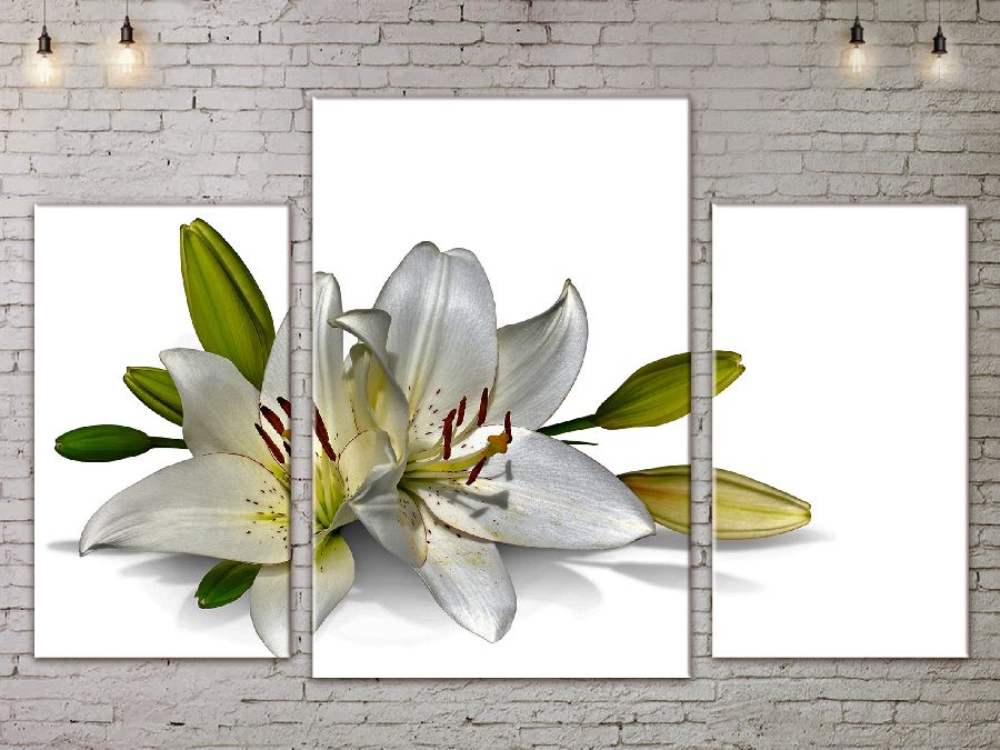 

Модульная картина ArtStar цветы ADFL0067 размер 70 х 105 см