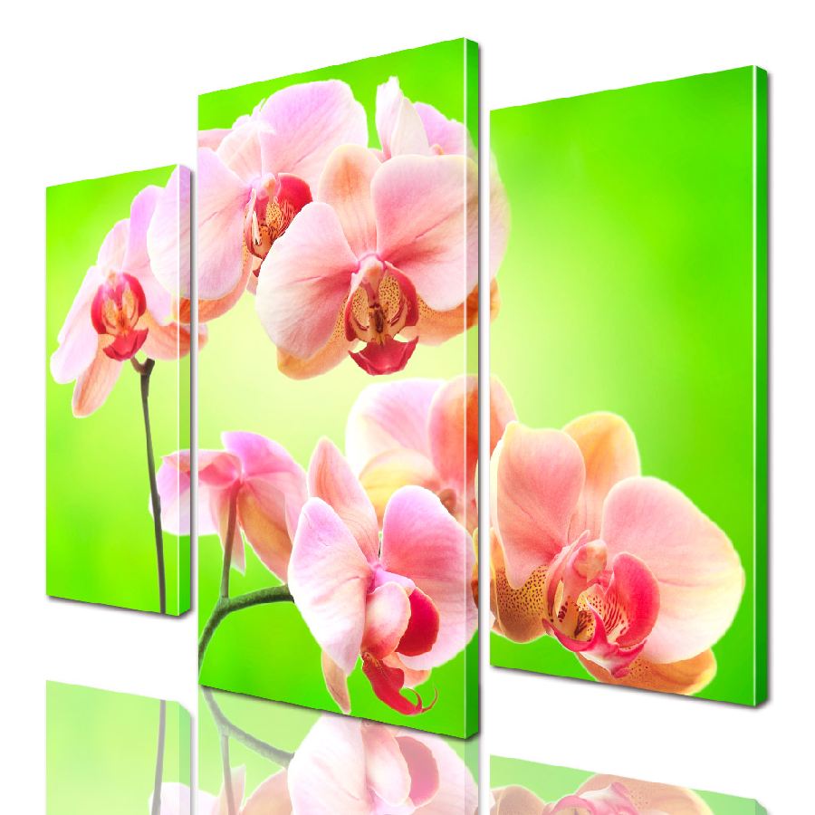 

Модульная картина ArtStar цветы Орхидея ADFL0179 размер 95 х 120 см
