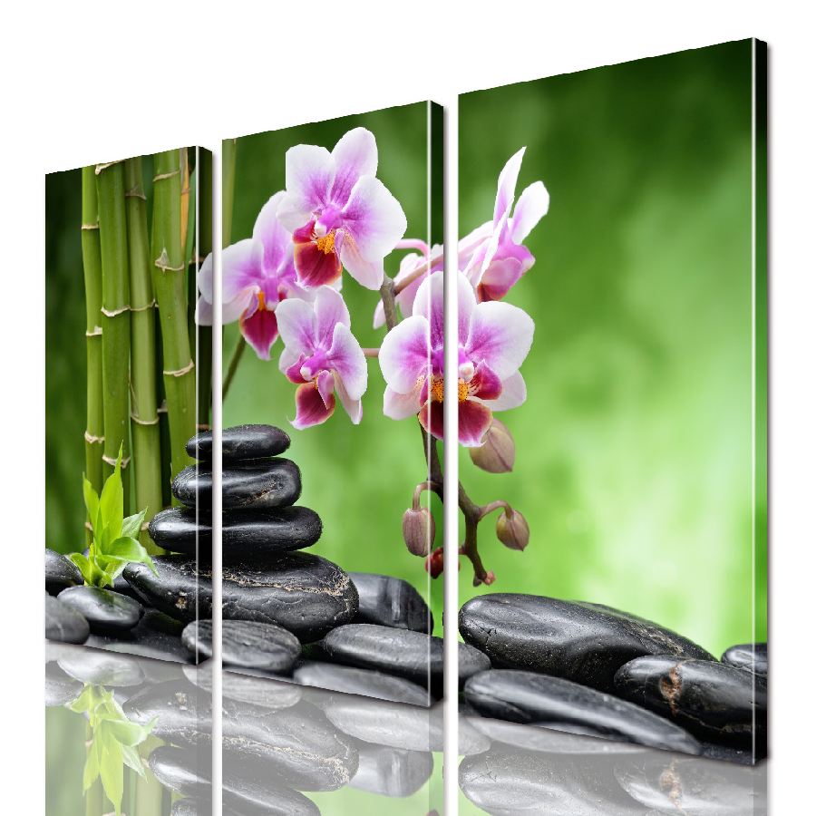 

Модульная картина ArtStar цветы Орхидея ADFL0174 размер 95 х 120 см
