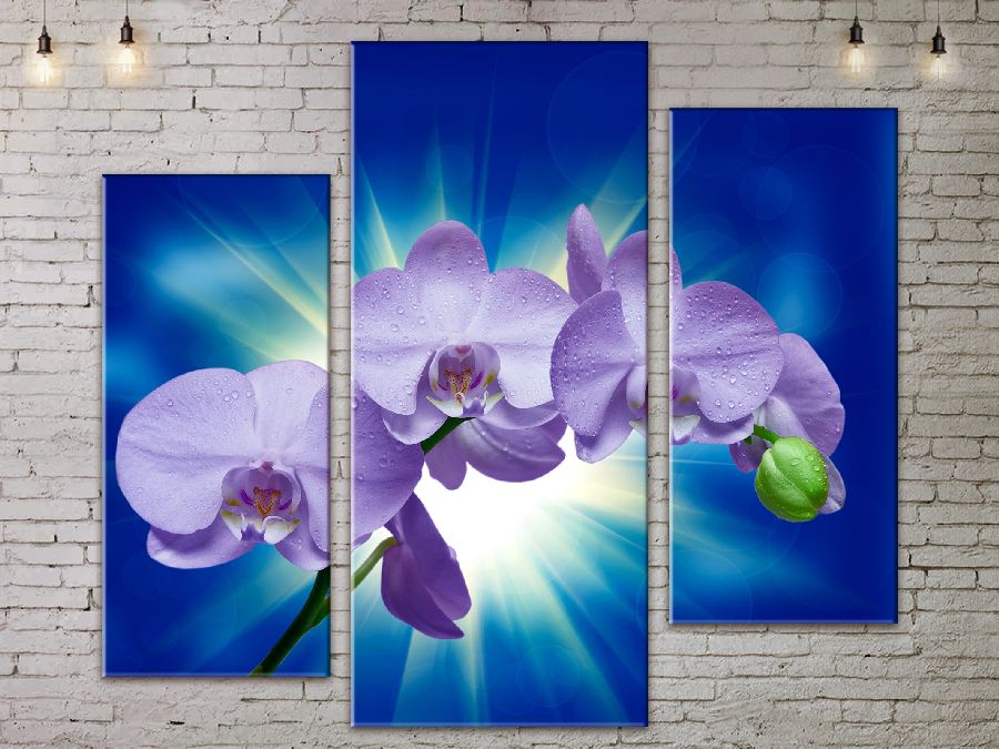 

Модульная картина ArtStar цветы Орхидея ADFL0202 размер 95 х 120 см