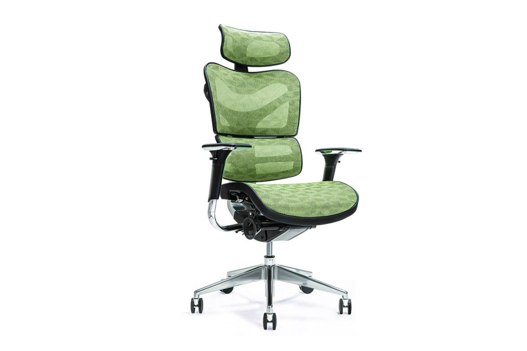 

Кресло Bemondi Ergonomiczny Fotel Biurowy Ergo 700 Zielony