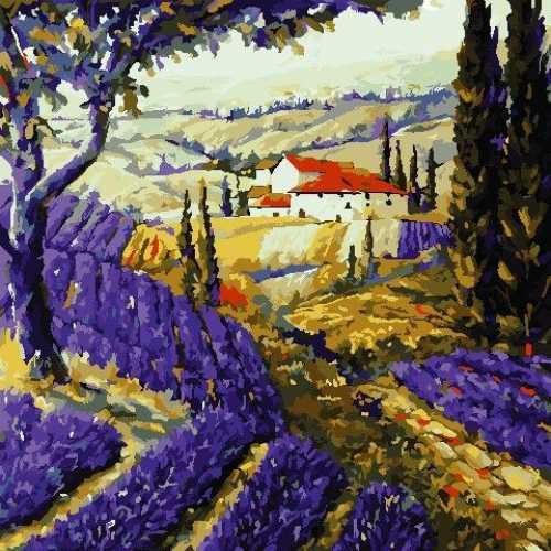 

Картина по номерам AS0804 Пространства Прованса, 40x40 см., Art Story
