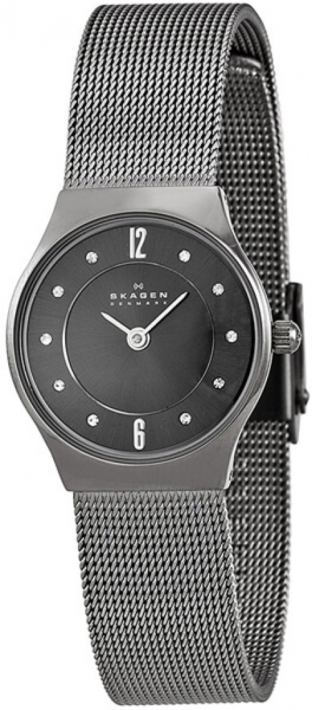 

Женские часы Skagen 233XSTTM