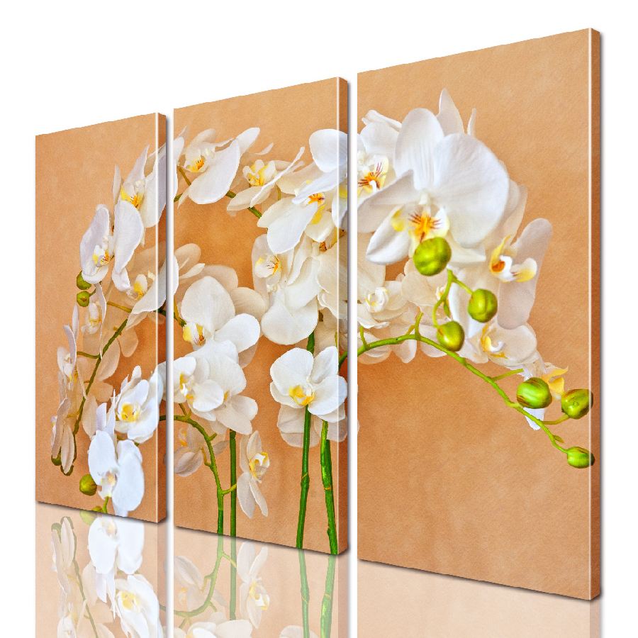 

Модульная картина ArtStar цветы ADFL0168 размер 150 х 180 см