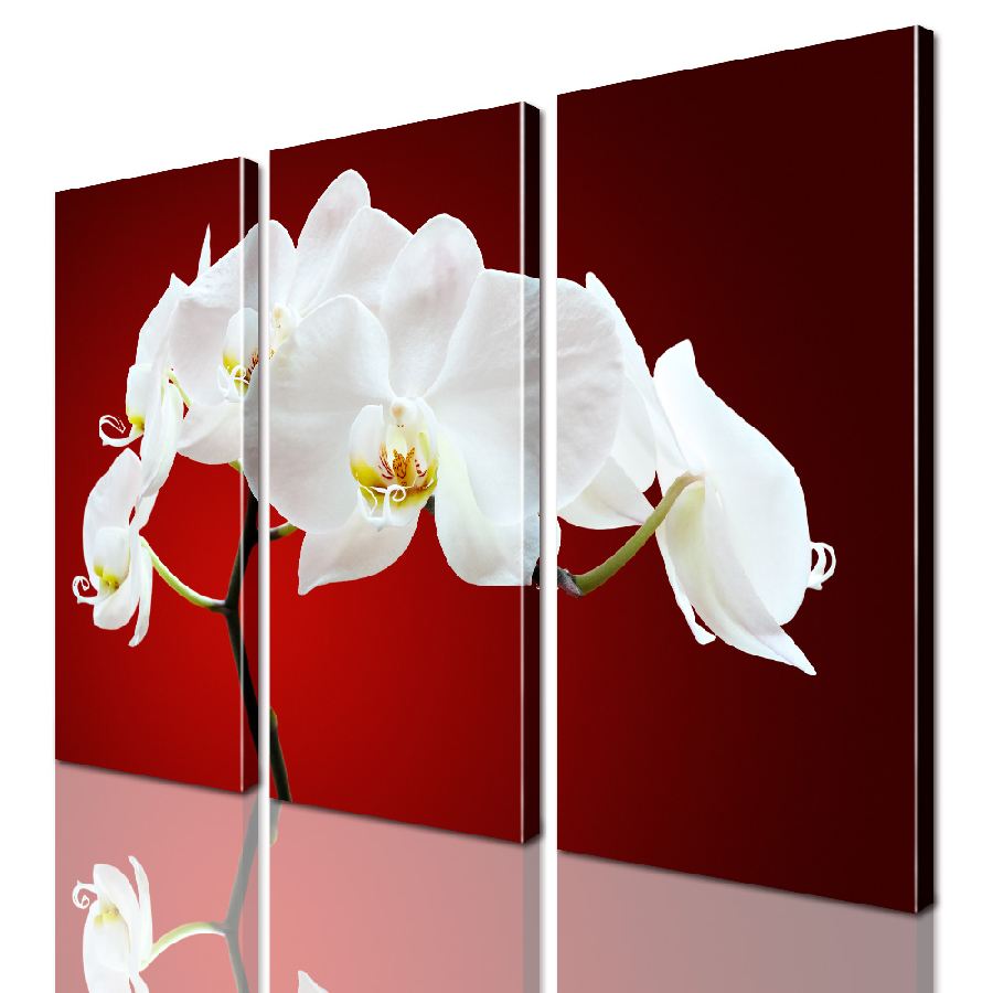 

Модульная картина ArtStar цветы Орхидея ADFL0146 размер 150 х 180 см
