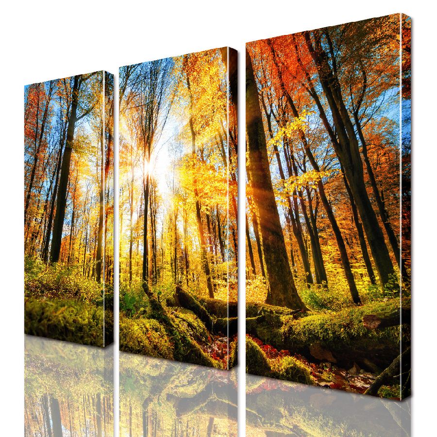 

Модульная картина ArtStar ADNA0171 размер 150 х 180 см