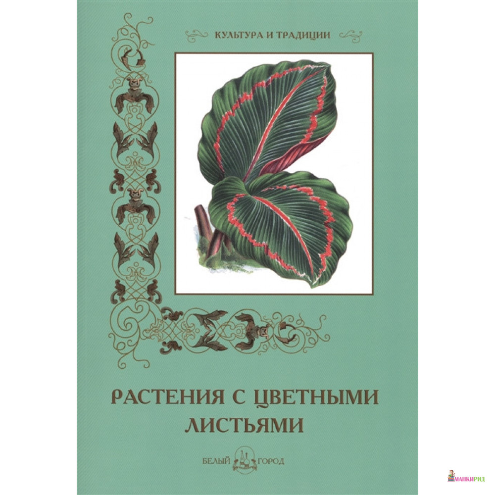 

Растения с цветными листьями - Белый город - 402207