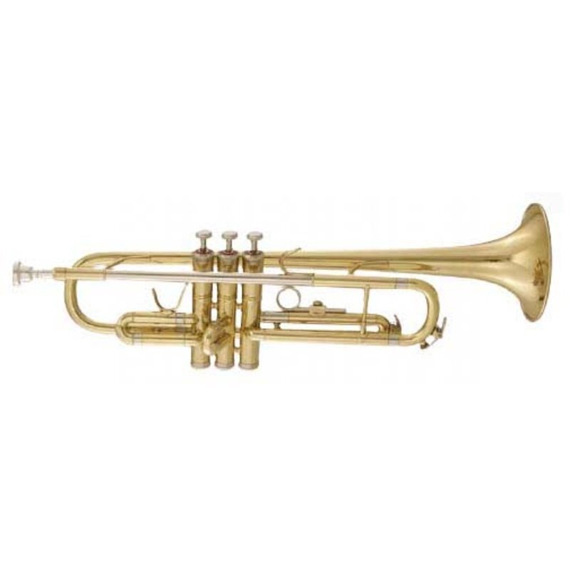 

Труба Maxtone TTC60L2 (TTC234L)