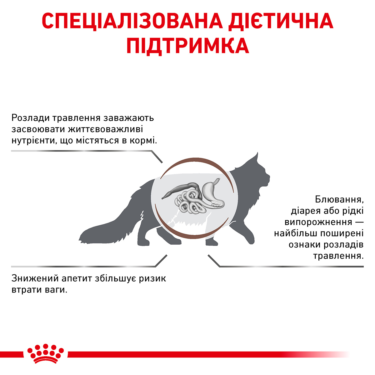 Royal Canin Gastro Intestinal Cat 4