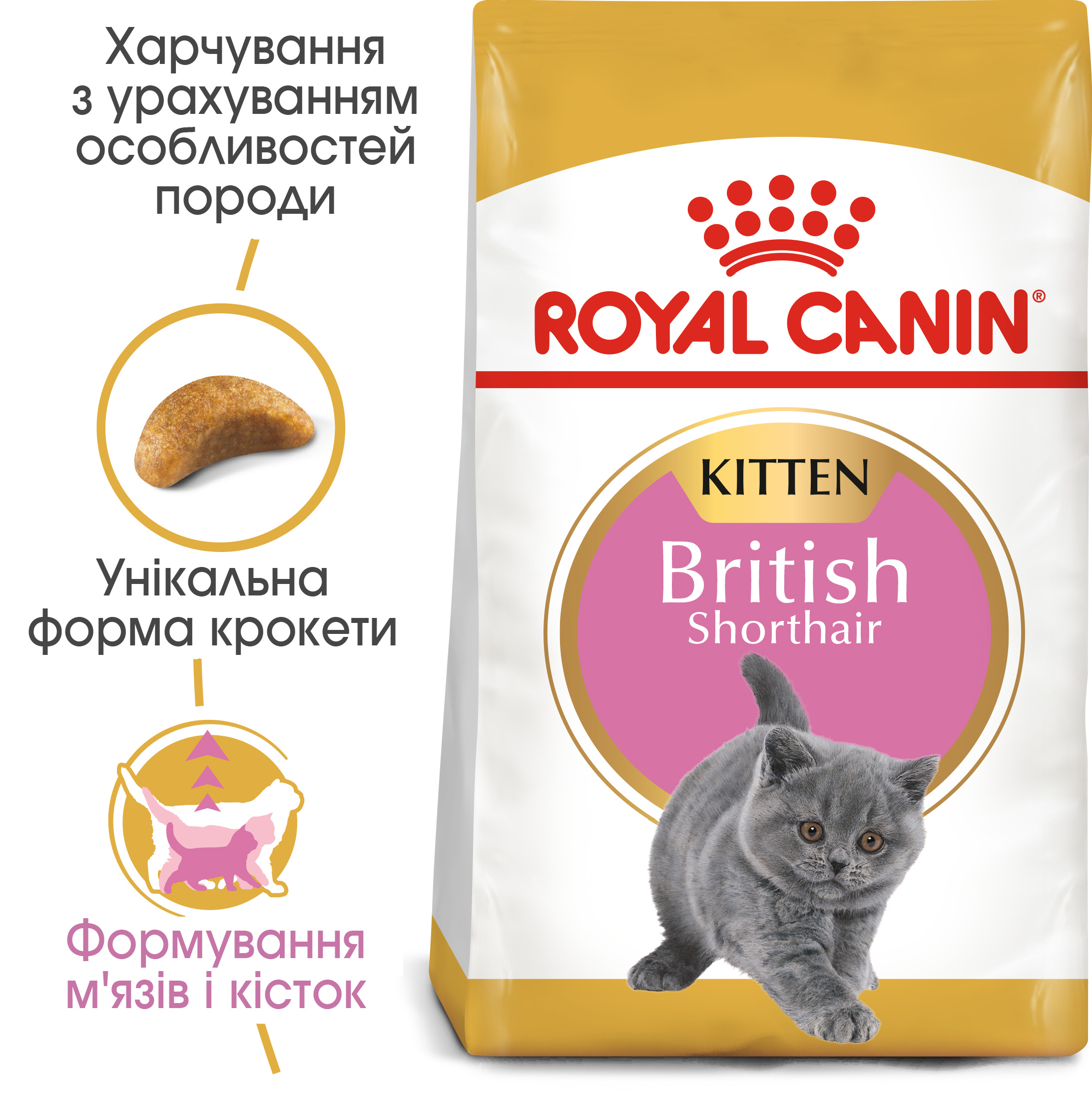 Royal Canin Kitten British Shorthair 2