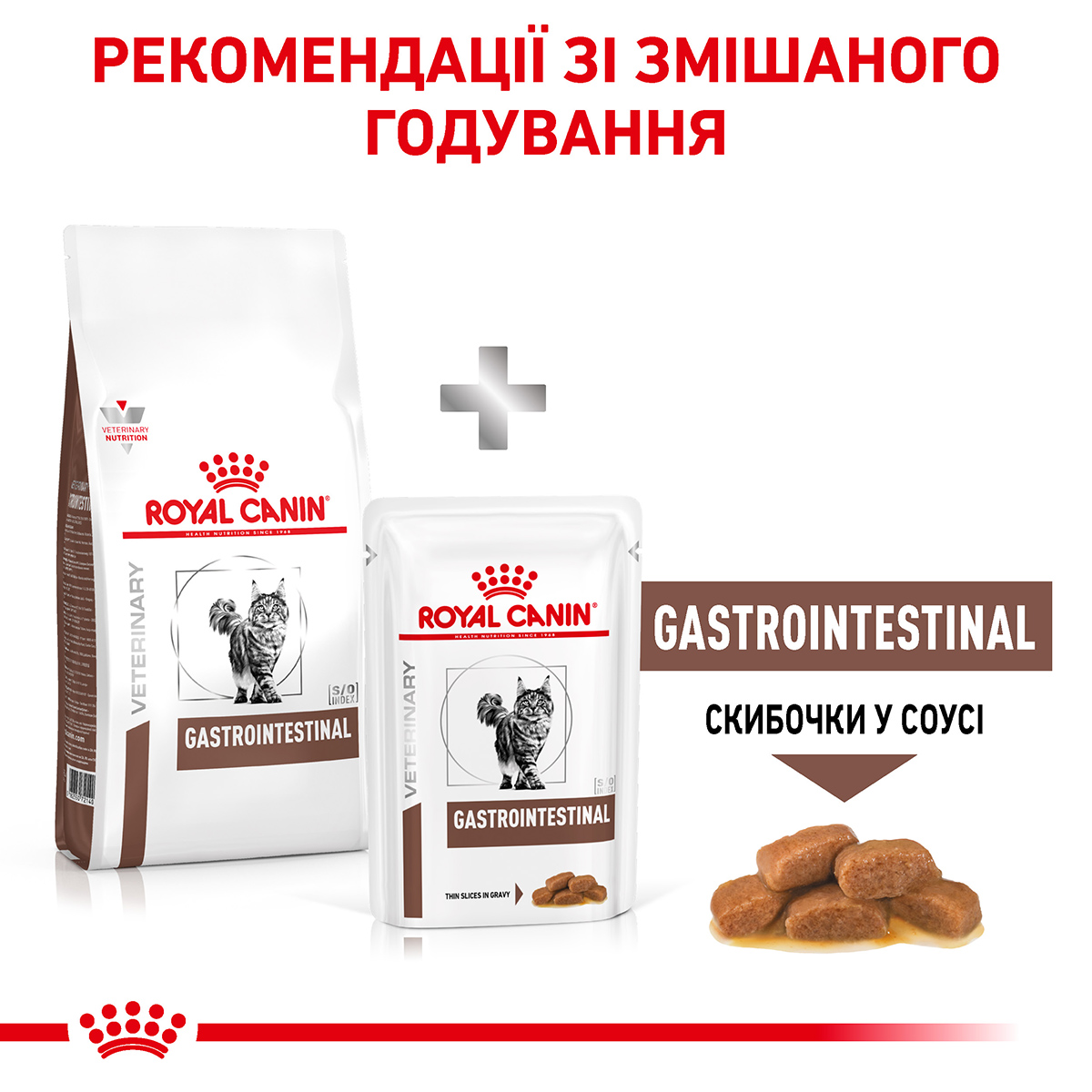 Royal Canin Gastro Intestinal Cat 2