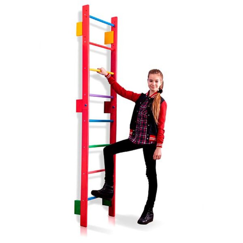 

Шведская стенка PLAYBABY (Teenager), код: SB-T0-220BR