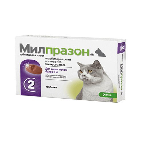 Таблетки KRKA Милпразон от глистов для кошек весом более 2 кг, 16 мг/40 ...