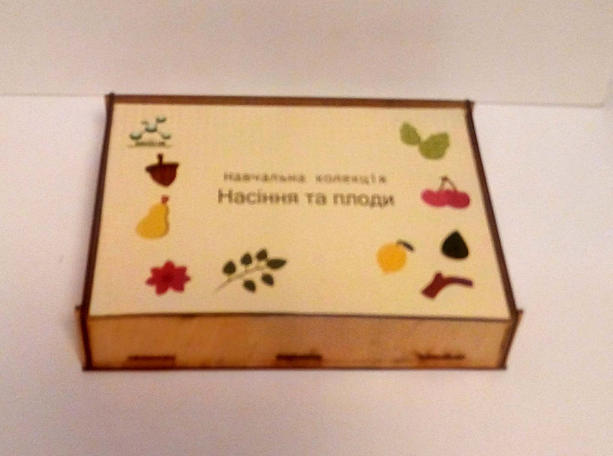 

Навчальна колекція Насіння і плоди EDU Multicolored