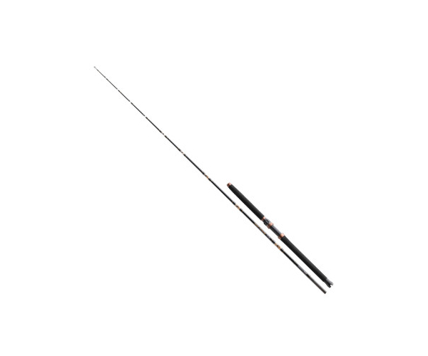 

Спиннинг Cormoran S. Deep Power 2,35m 200-600gr (арт.1919686321)