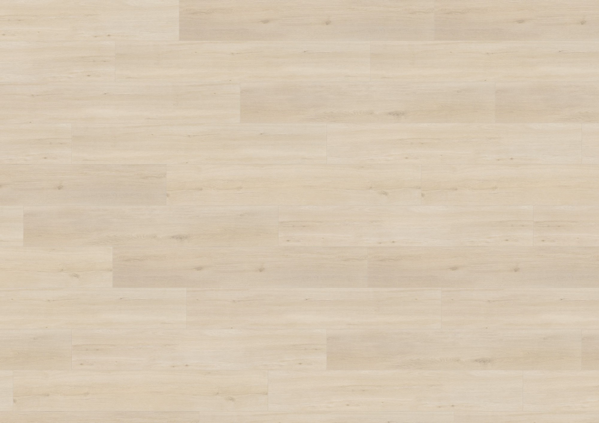 

Ламинат Wineo 500 Large V4 Дуб дикий белый (LA184LV4)