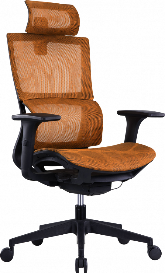 

Кресло GT Racer X-D20 Orange