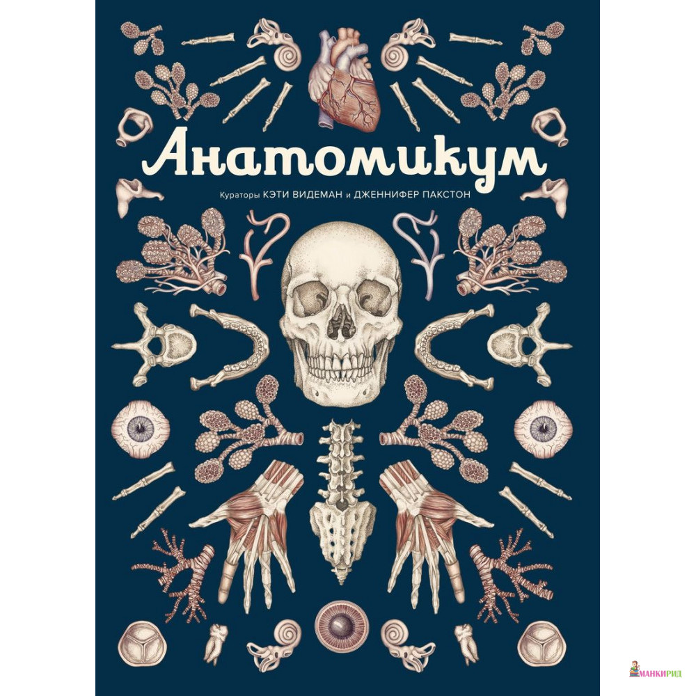 

Анатомикум - Дженифер Пакстон - Махаон - 868442