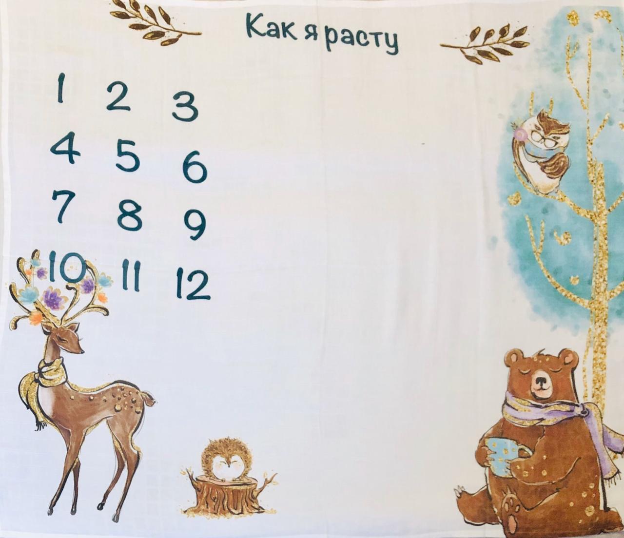

Фотопелюшка муслінова 100х120 см Бохо з ведмедиком пм210 ru