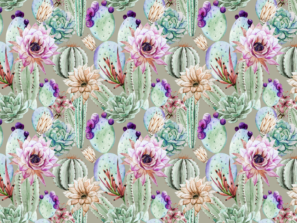 

Фотообои Фоны и текстуры 'Кактусы' (6014) , Штукатурка