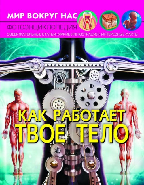

Книга Мир вокруг нас Как работает твое тело рус Crystal Book (F00023033) (139923)